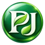 PayJoy